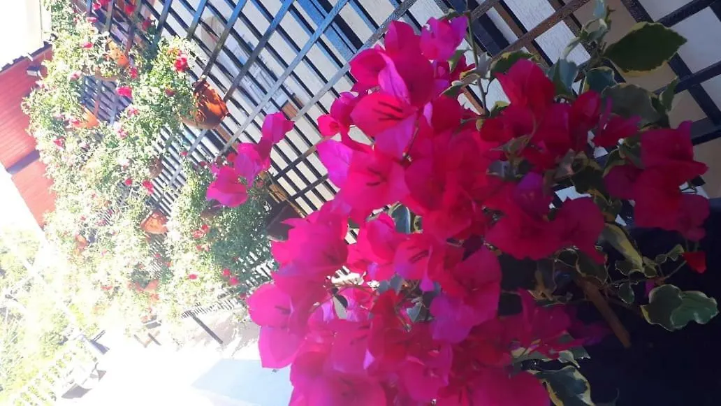 Refugio Das Rosas Campos do Jordao Guest house
